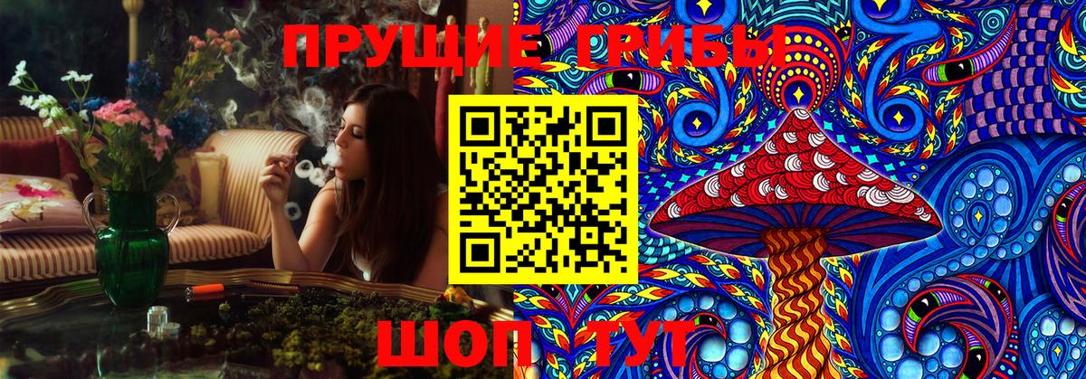 Медногорск  Галлюциногенные грибы MAGIC MUSHROOMS  Вход с VPN 