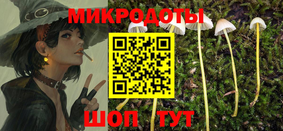 Псилоцибиновые грибы Magic Shrooms Медногорск